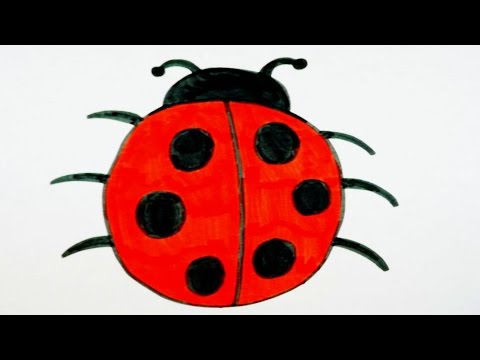 480x360 Ladybug Drawing For Kids Cute!
