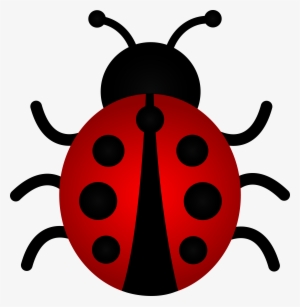 300x307 Ladybug Png, Transparent Ladybug Png Image Free Download