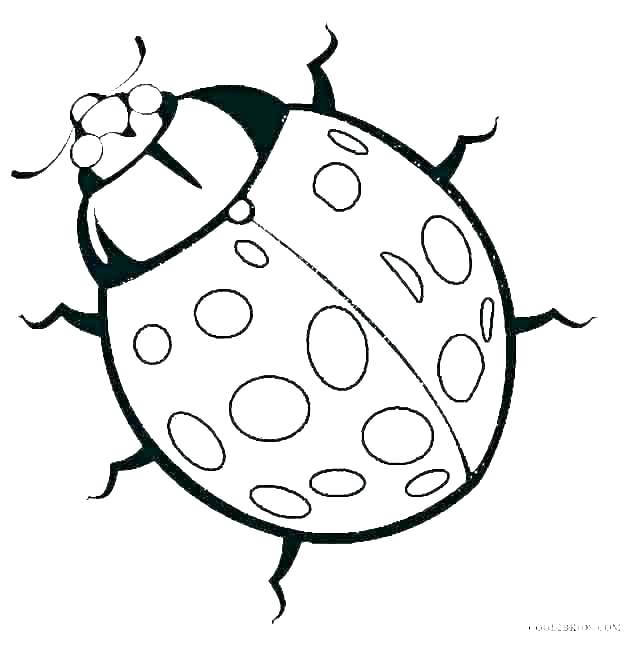 640x646 Cute Ladybug Coloring Pages Betterfor