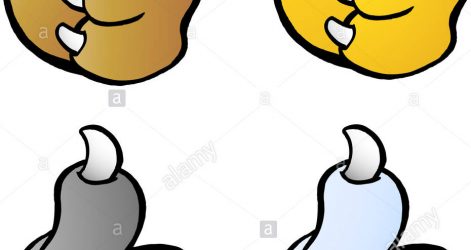 471x250 Lion Drawing Photo Head Easy Face Cute Anatomy Pdf Of A Images