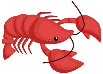 336x240 Search Photos Category Animals Gt Aquatic And Marine Life Gt Lobster