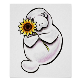 307x307 Manatee Drawing Gifts On Zazzle