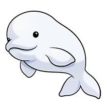 220x220 Cute Beluga Beautiful Designs Whale Drawing, Kawaii Drawings