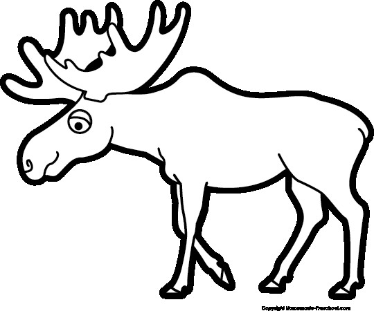 540x450 Cute Moose Head Outline Jerusalem House