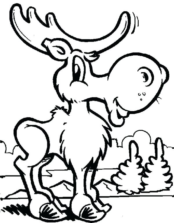 600x769 Funny Moose Coloring