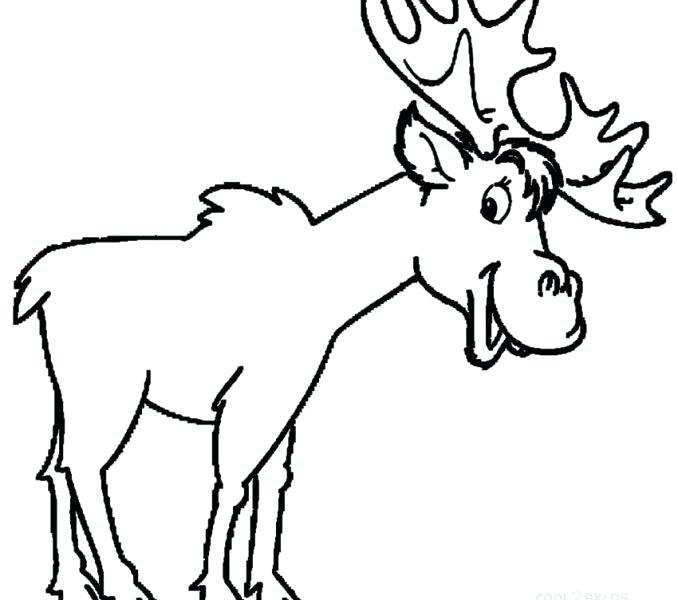 678x600 Moose Coloring Pages Moose Coloring