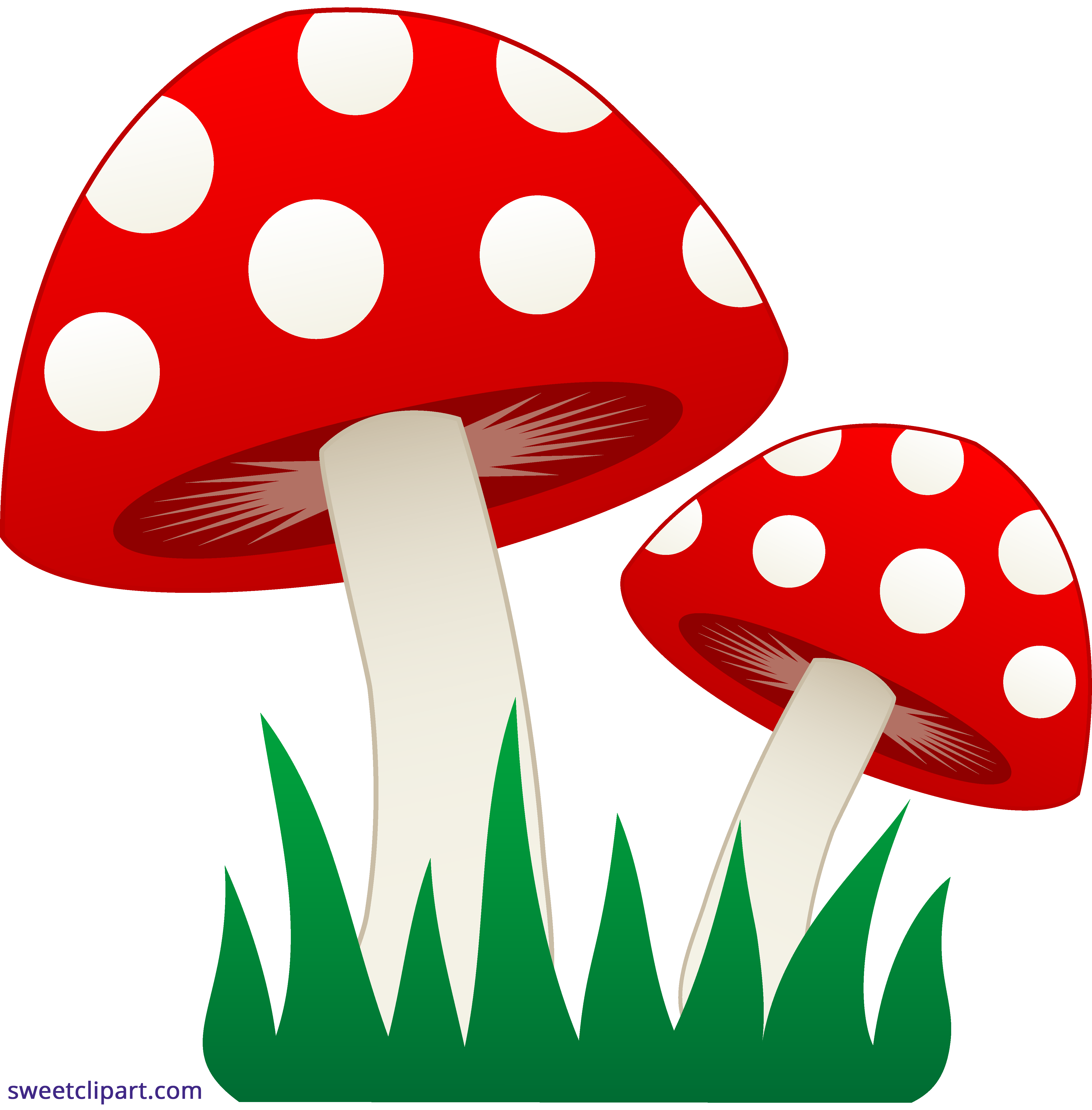 4660x4739 Collection Of Free Mushrooms Drawing Artistic Download On Ui Ex