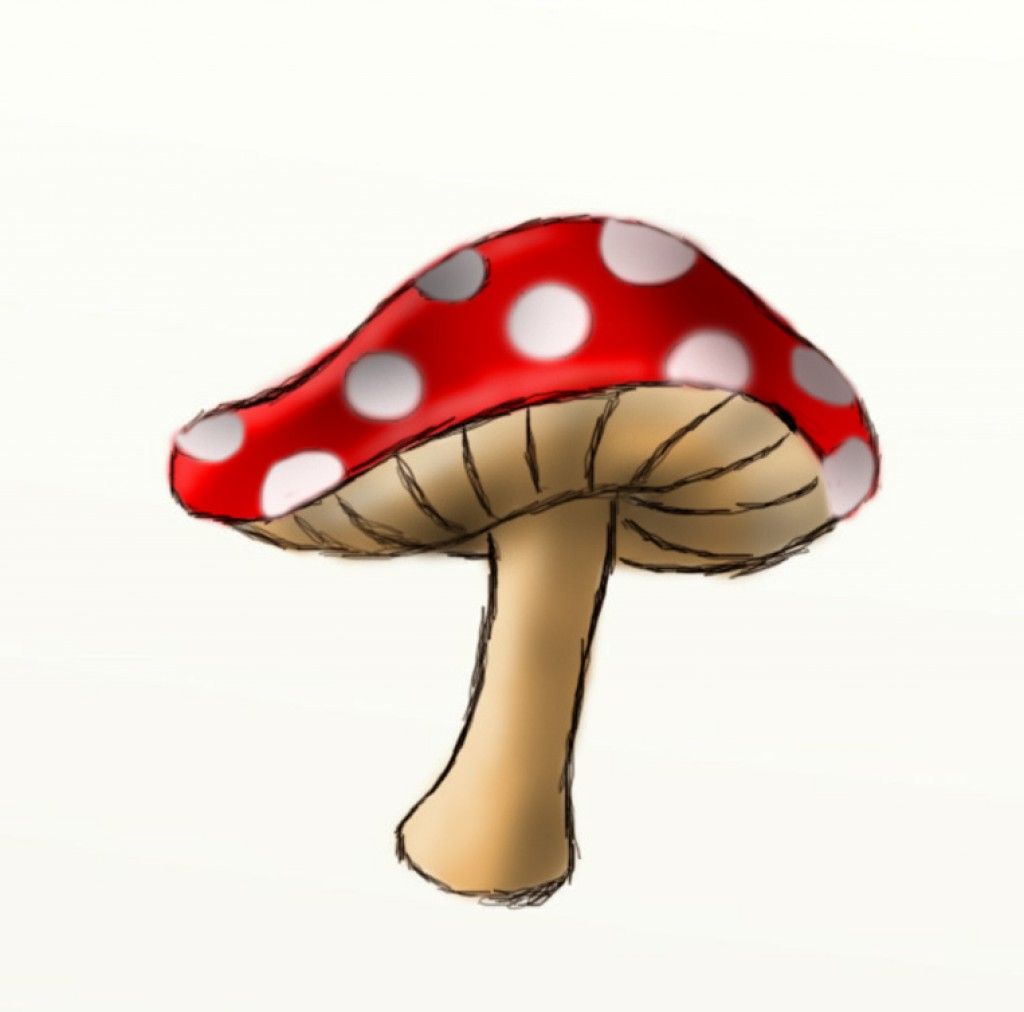 1024x1012 how to draw a mushroom journal pages mushroom drawing, fairy