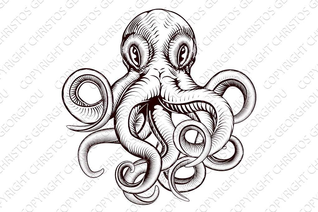 1020x679 Octopus Drawing Free Download