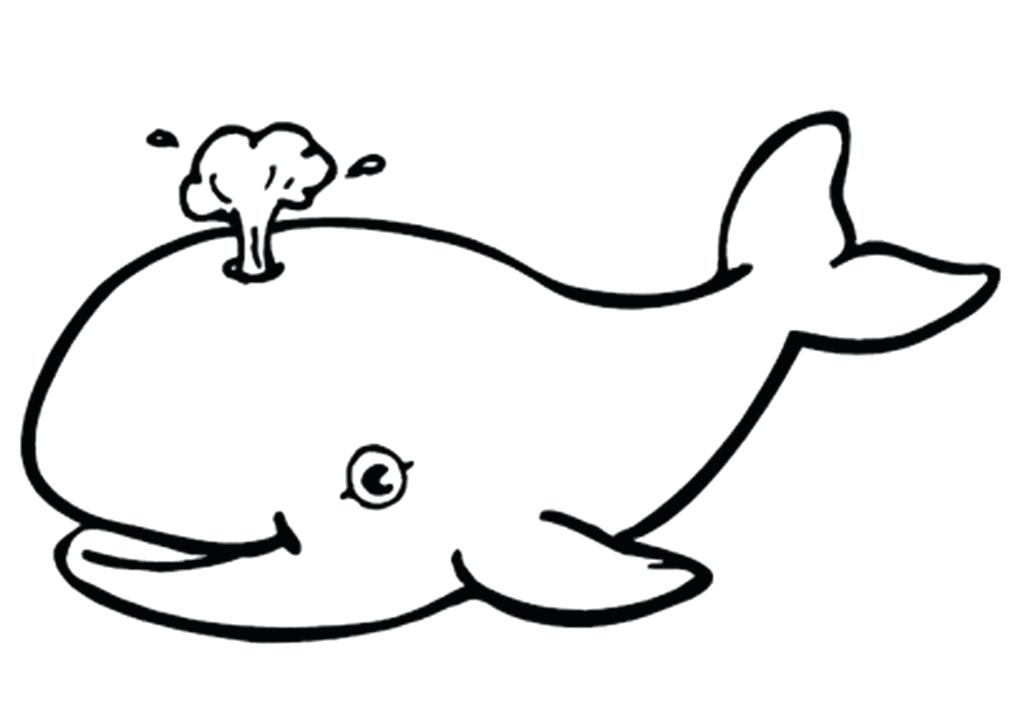 1024x723 Free Coloring Pages Killer Whale Whales Shark