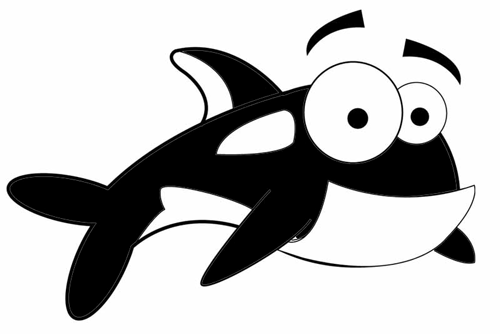 500x334 How To Draw Cartoon Orca Whales With Easy Step