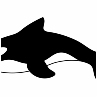 320x320 Humpback Whale Clipart Cute