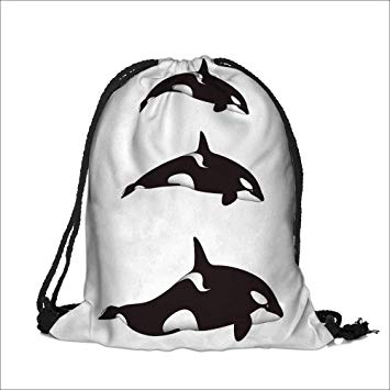 355x355 Killer Whale Pictures To Draw