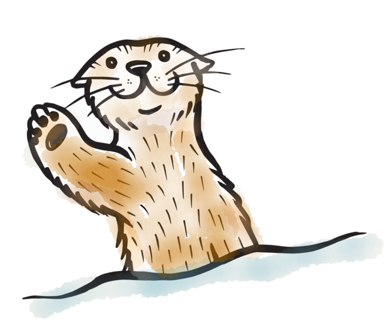 800x664 Collection Of Free Otter Drawing Native Download On Ui Ex