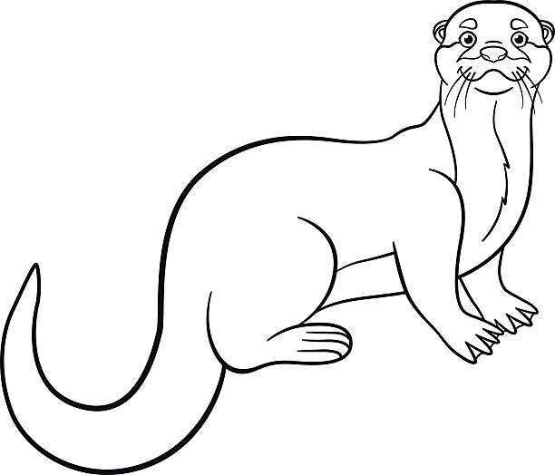 612x524 Sea Otter Coloring