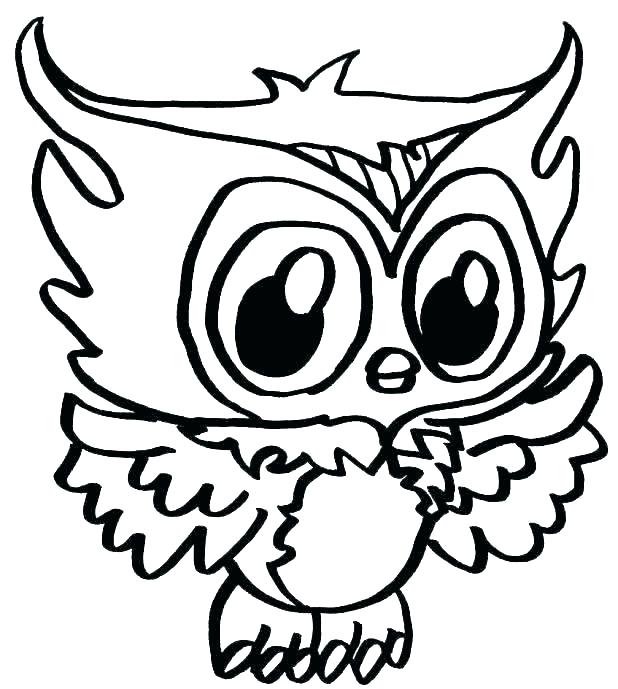 618x689 Draw A Cute Owl Youtube Draw So Cute Owl