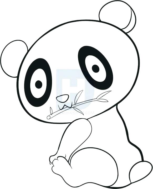 582x720 Easy To Draw Panda Bear How Easy Panda Drawing To Draw A Cute Easy