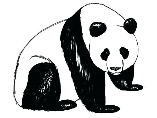 Cute Panda Drawing Step By Step | Free download on ClipArtMag