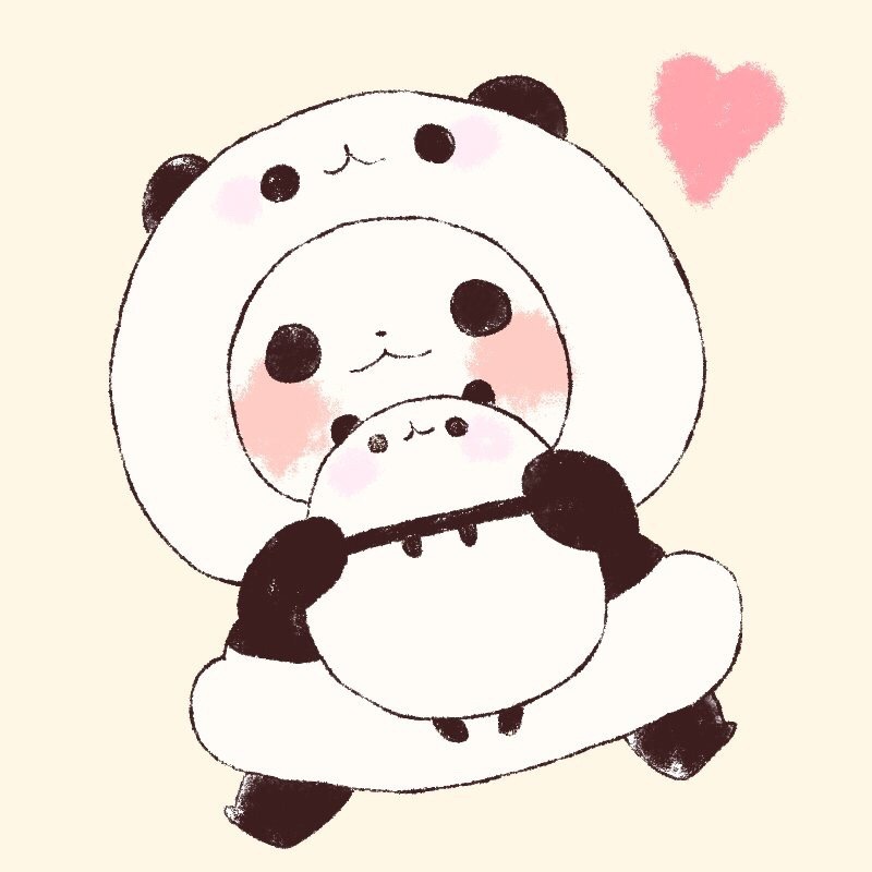 800x800 Lollipop Cute Panda