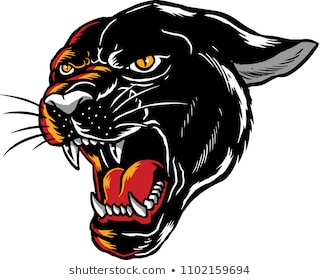 320x280 Huge Collection Of 'panther Face Drawing' Download More Than