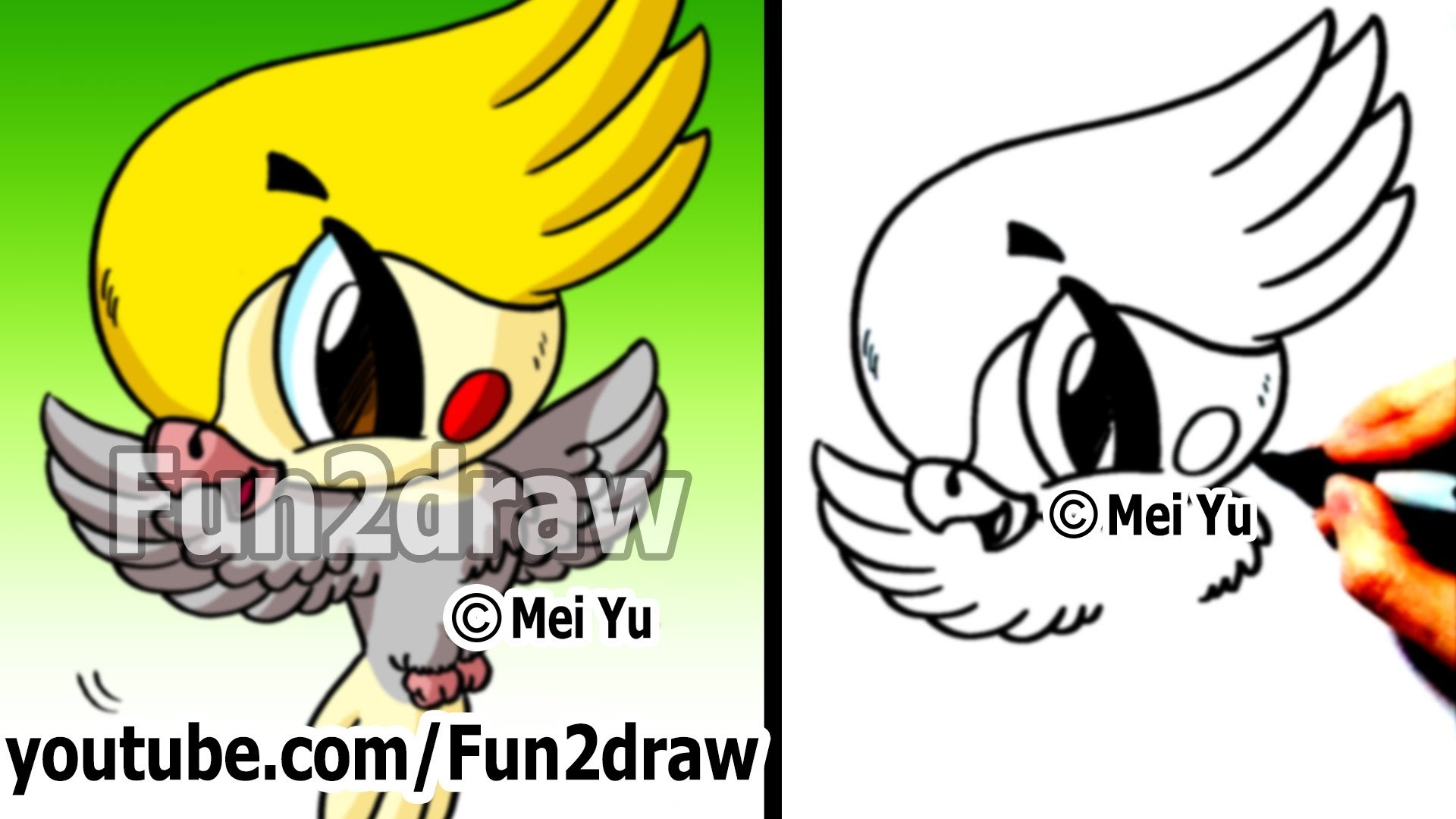 1920x1080 Cute Parrot Drawing At Getdrawings Com Free For Personal Use