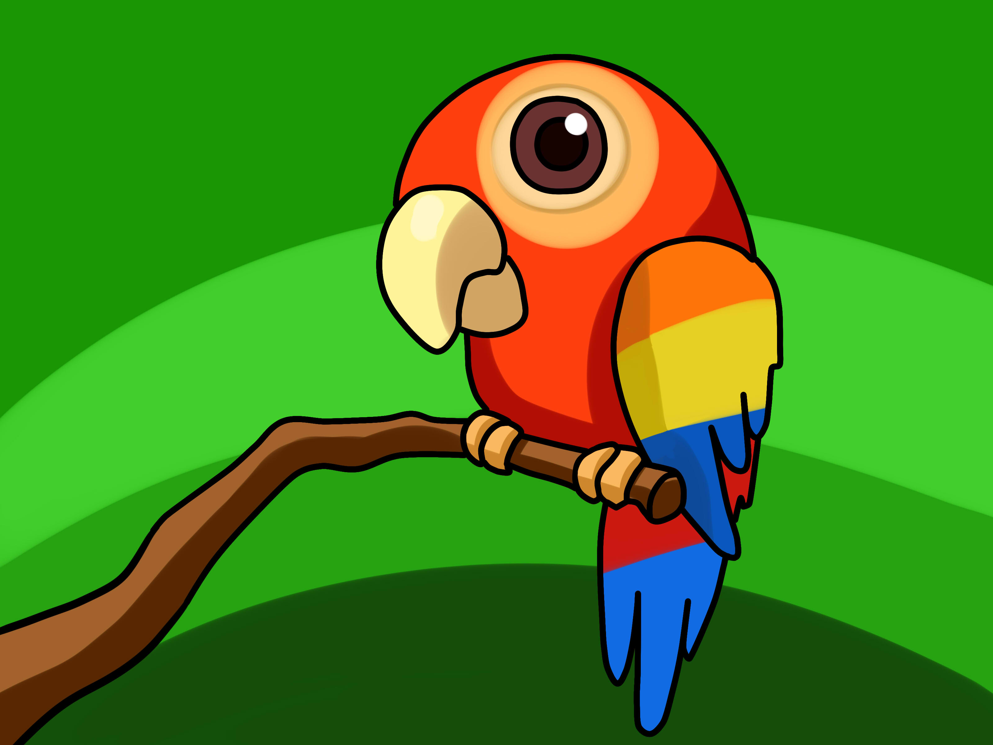 3200x2400 Cute Parrot Drawing