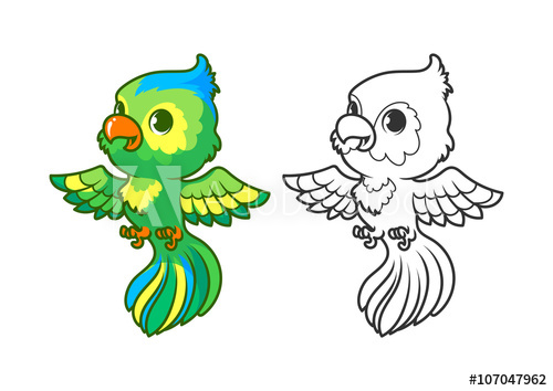 500x354 Cute Little Parrot