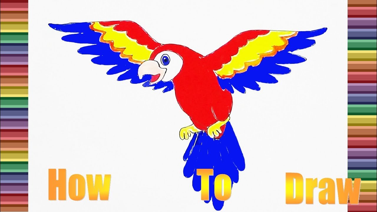 1280x720 How To Draw And Coloring For The Cute Parrot Coloring Pages
