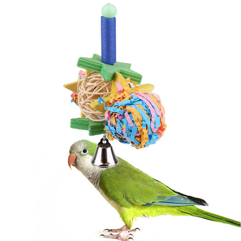 800x800 Parrot Cage Bird Toy Cute Parrot Drawing Colorful Foraging Toy