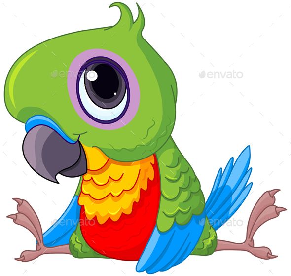 590x559 Flyer Template Layout Parrot Drawing