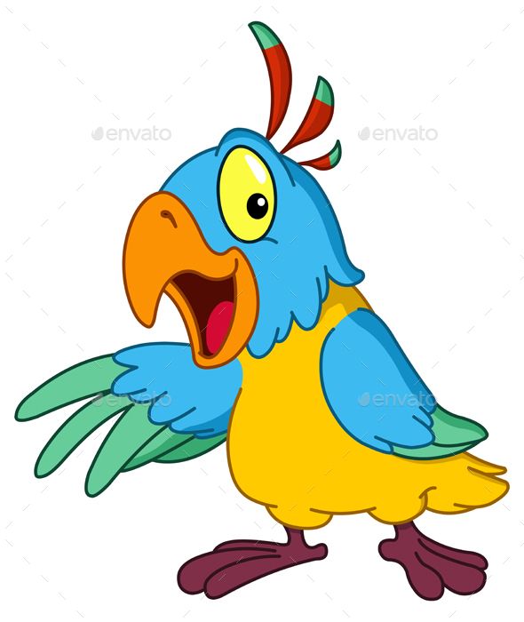 590x700 Cartoon Parrot Presenting With His Wing Flyer Template Layout