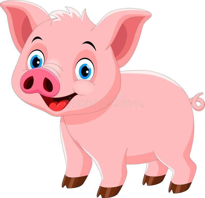 800x774 Pig Drawing Cartoon Download Cute Pig Cartoon Isolated On White