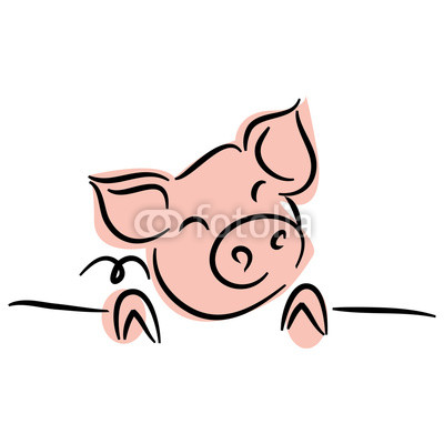400x400 Drawing Of Cute Pig Vector Illustration Simple Concept Zodiac