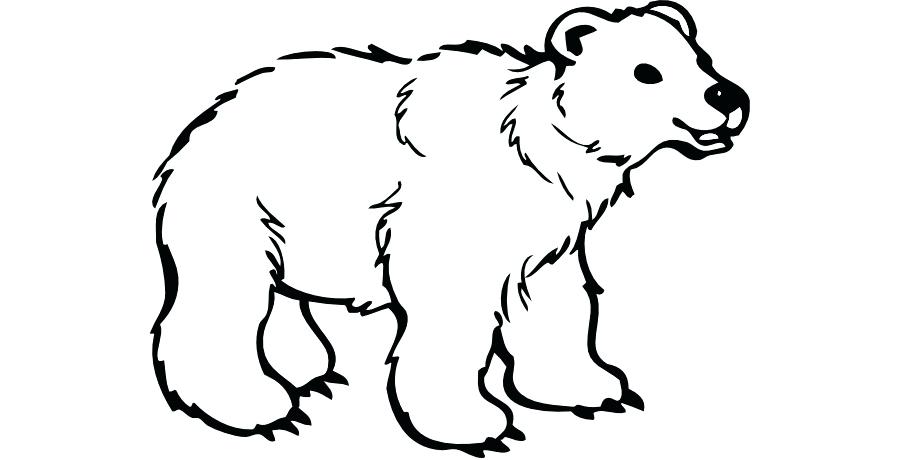 Cute Polar Bear Drawing | Free download on ClipArtMag