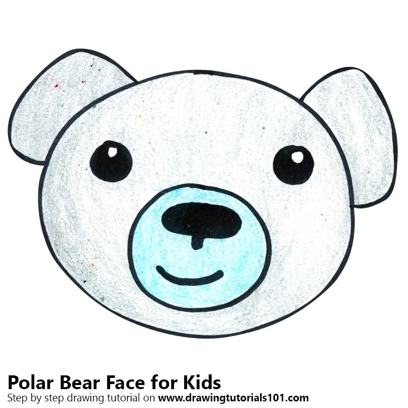 800x800 Polar Bear Drawings Polar Bear Draw So Cute