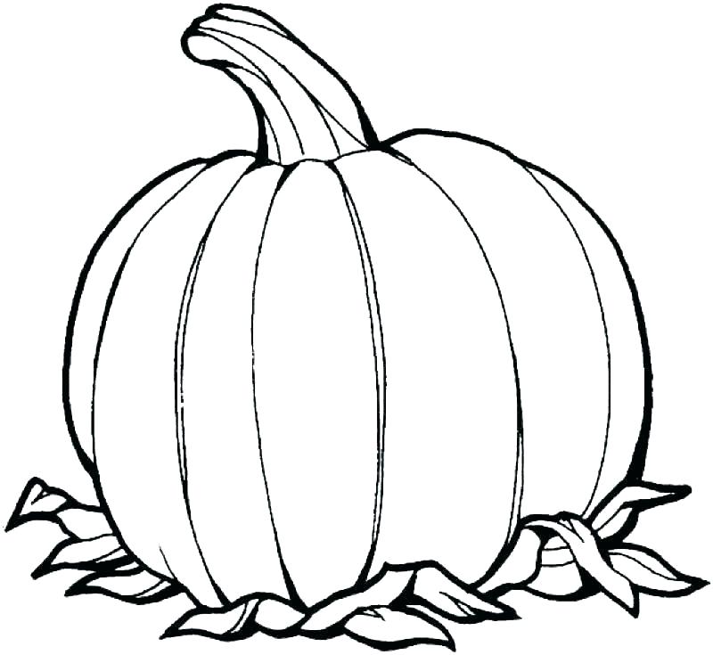 800x735 Pumpkin Coloring Pages Free Cute Pumpkin Coloring Pages Free Blank