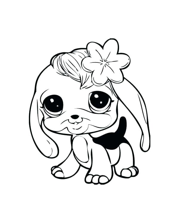600x750 puppies to draw cute puppies drawing images