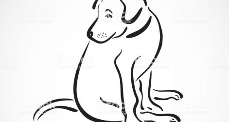 471x250 Puppy Face Drawing Easy Cute Pencil Husky Eyes And Cartoon I