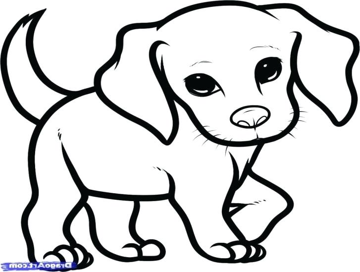 727x549 Puppy Draw