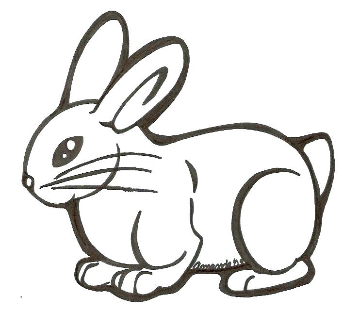 707x641 Cute Bunny Drawing Easy Licofindia Site