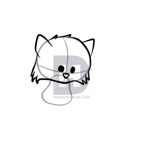 500x550 How To Draw A Cute Raccoon, Step