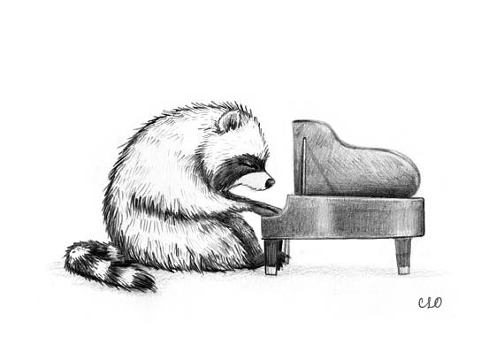 570x407 Raccoon Playing Piano X Print In Products Raccoon Art