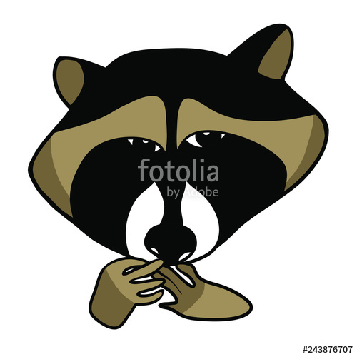 500x500 Color Vector Drawing, Cute Raccoon Stock Image And Royalty Free