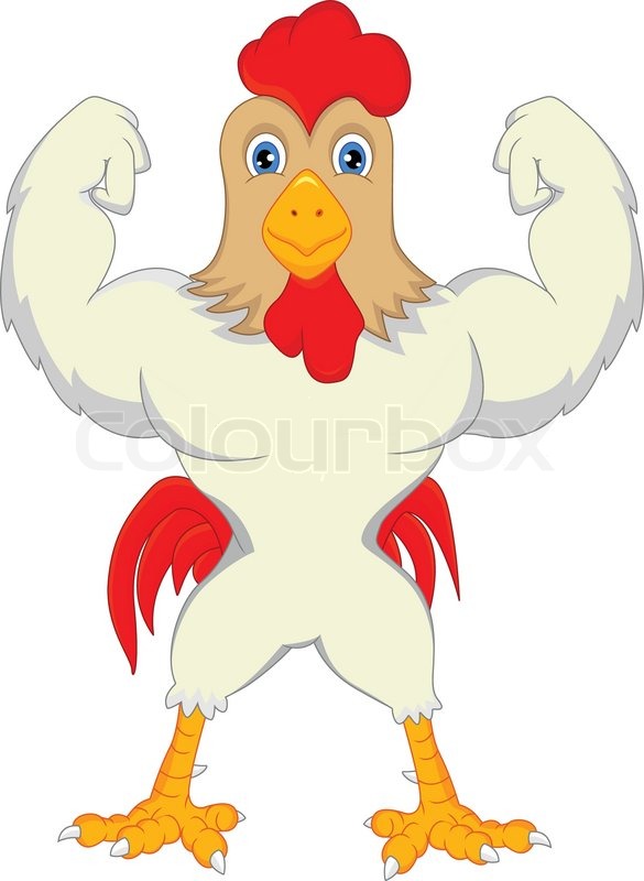 585x800 Cute Rooster Cartoon Stock Vector Colourbox