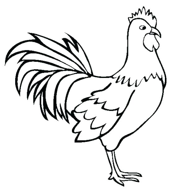 600x612 Rooster Coloring