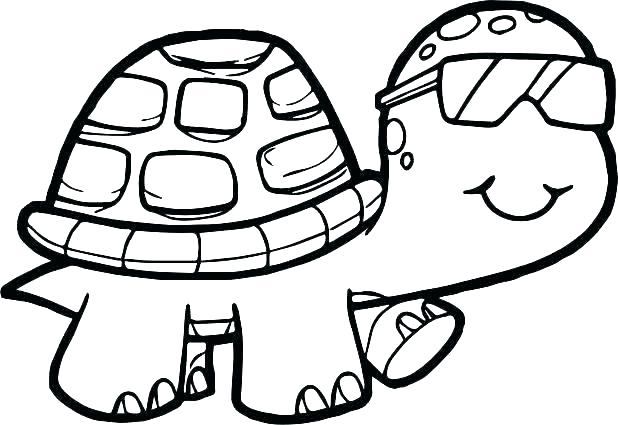 618x425 Cute Turtle Drawing Cute Turtle Drawing Cartoon