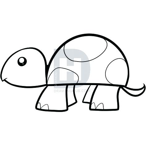 472x472 Cute Turtle Drawing Description Here Is Your Super Cute Turtle