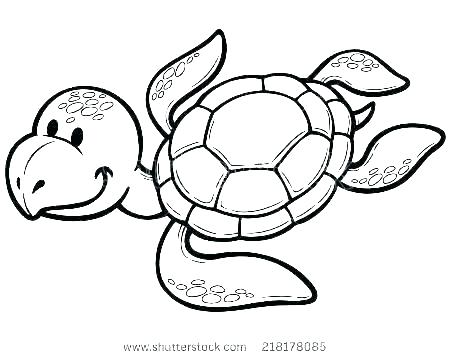 450x358 Baby Turtle Drawing