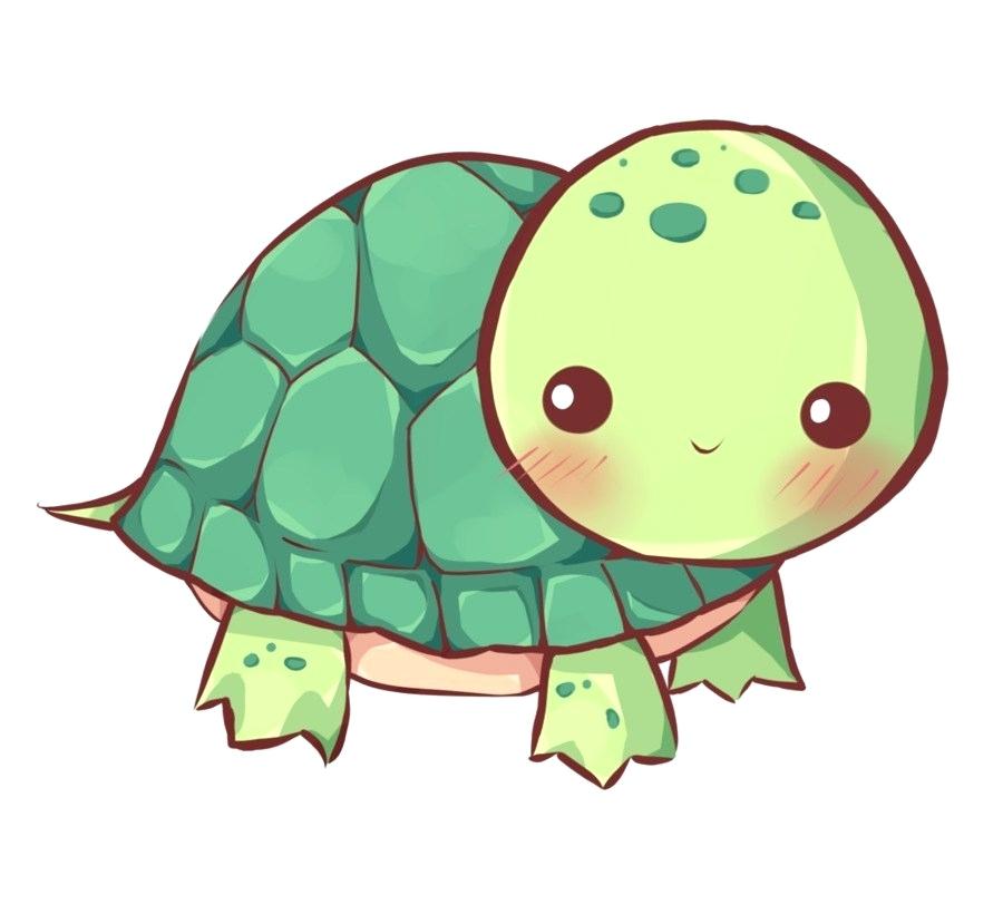 Cute Sea Turtle Drawing | Free download on ClipArtMag