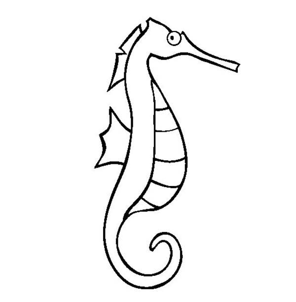 600x612 Cute Seahorse Drawing